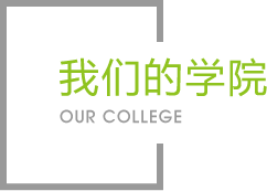 IM(股份有限公司)电竞