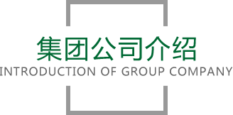 IM(股份有限公司)电竞